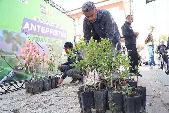 Konya'da Çiftçilere Antep Fıstığı Üretimi Desteği