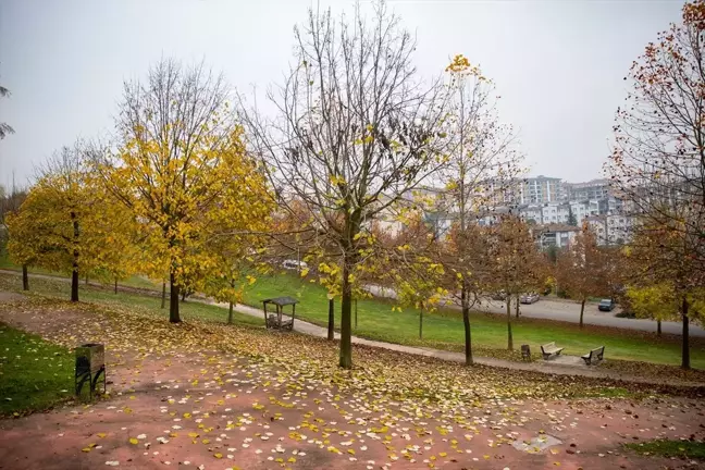 Sakarya'nın Parklarında Sonbahar Ziyafeti