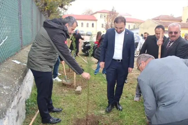 Vezirköprü'de şehit ve vefat eden öğretmenler anısına fidan dikildi