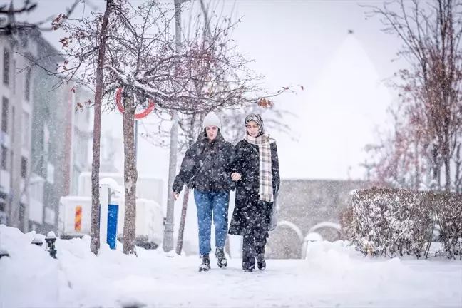 Erzurum, Erzincan ve Tunceli'de Yoğun Kar Yağışı Etkili Oldu