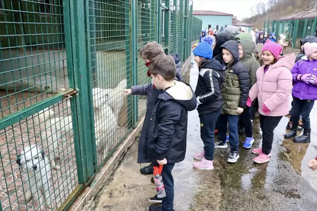 Öğrenciler Sokak Hayvanları için İyilik Projesi Gerçekleştirdi