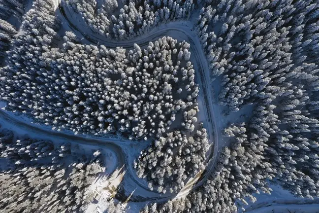 Ilgaz Dağı'nda Kar Yağışı Sonrası Güneşli Manzara