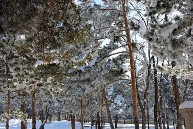 Erzurum'un Aşkale İlçesinde Yaz Gündüzleri Kış Geceleri