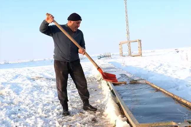 Erzurum'da Besiciler Soğuk Kış Koşullarında Mücadele Ediyor