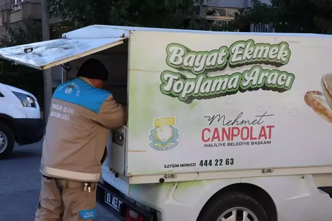 Haliliye Belediyesi, Bayat Ekmek İle İlgili Projesiyle 11 Ton Ekmek Topladı