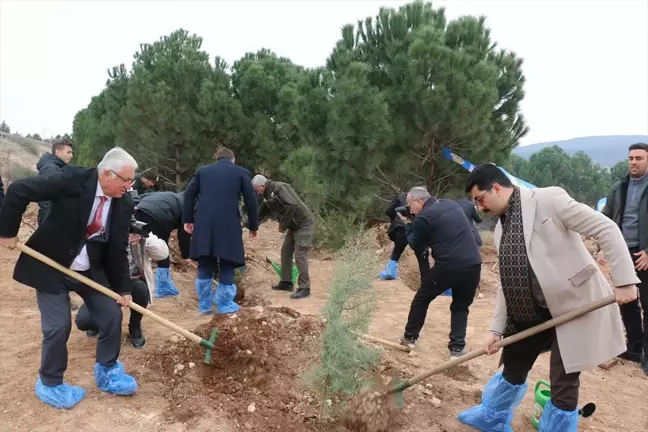 Pazarcık'ta Hatıra Ormanı Oluşturuldu