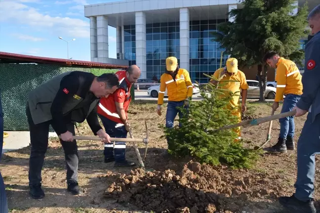 Bafra Devlet Hastanesi Bahçesine Fidan Dikimi Yapıldı