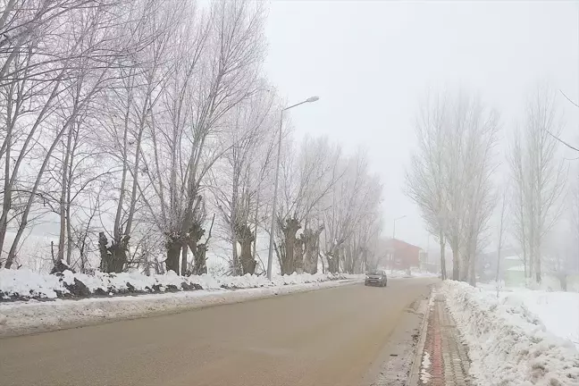 Bayburt'ta Soğuk Hava ve Sis, Hayatı Olumsuz Etkiliyor