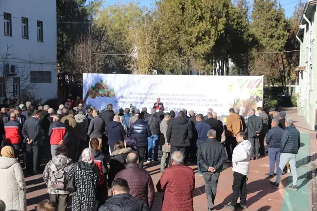 Diyarbakır'da Bağcılığa Destek Projesi Hayata Geçirildi