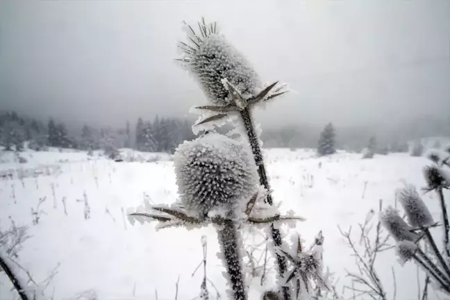 Ilgaz Dağı'nda Kar ve Sis Etkili