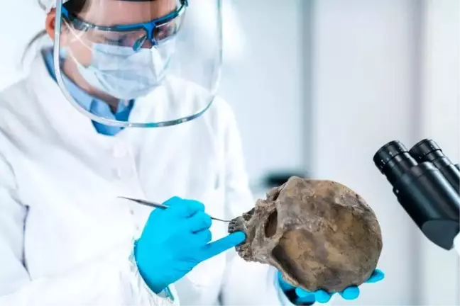 Yeni Araştırma, İnsan Soyunun Tükenişini ve Neandertallerin Rolünü Ortaya Koydu