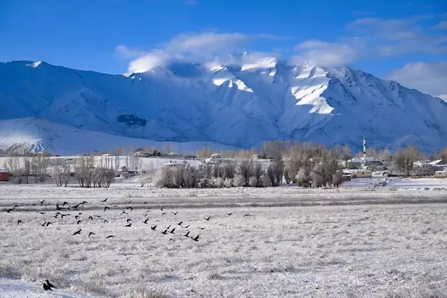 Van ve Bitlis'te Olumsuz Hava Koşulları Nedeniyle Ulaşım Engellendi