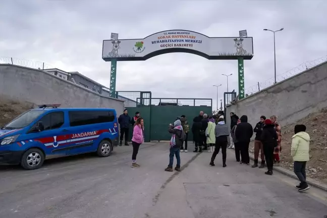 Mamak'ta Hayvan Katliamı İddiaları Üzerine Protesto