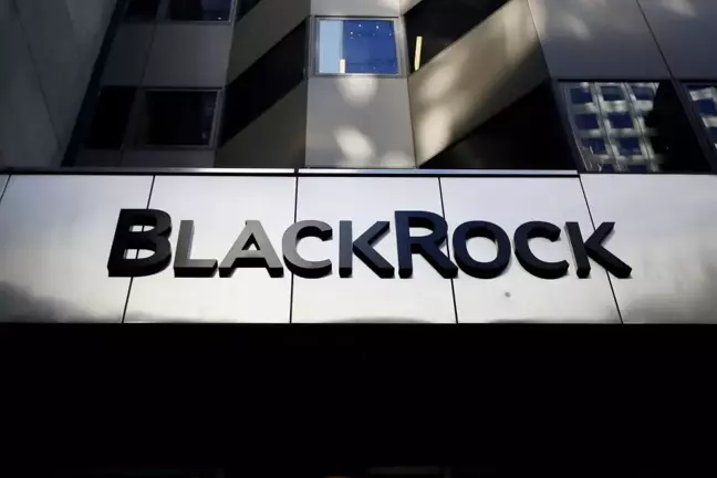 BlackRock Bitcoin ETF hakimiyetiyle piyasaya yön veriyor