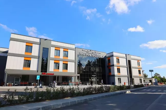 İstanbul Üniversitesi-Cerrahpaşa Hayvan Hastanesi Yeniden Açılıyor