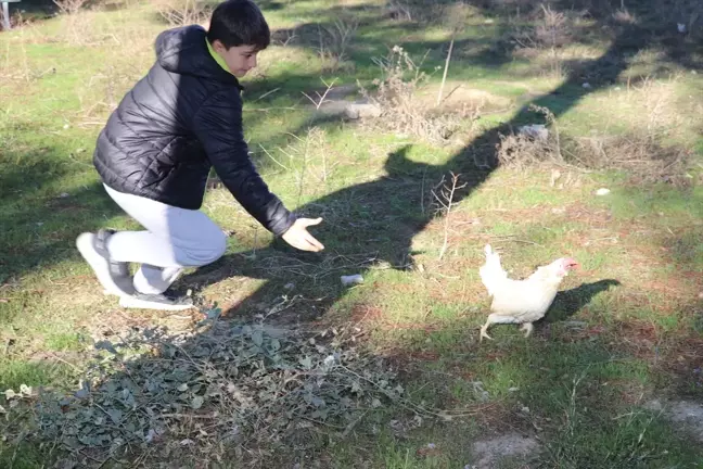 Adana'daki Okulda Çocuklar Tarımsal Üretime Katılıyor