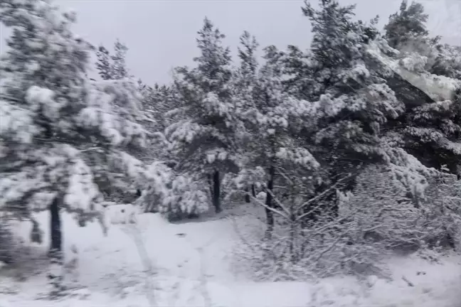 Çanakkale'de Kar Yağışı Hayatı Olumsuz Etkilemedi