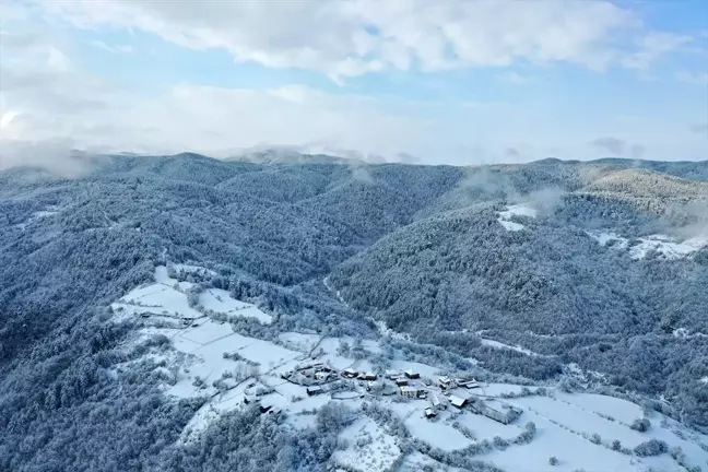 Kastamonu'da Kar Yağışı Sonrası Ormanlar Beyaza Büründü