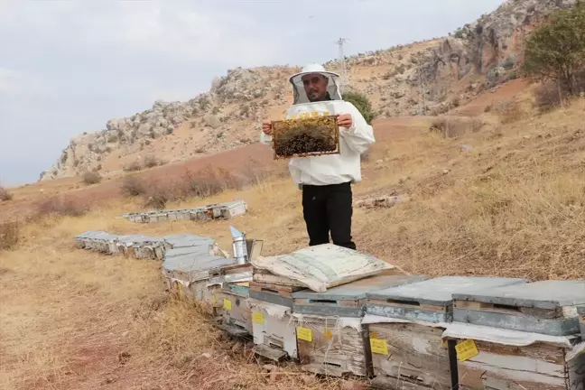 Siirt'te Genç Girişimci Arıcılıkla Geçim Sağlıyor