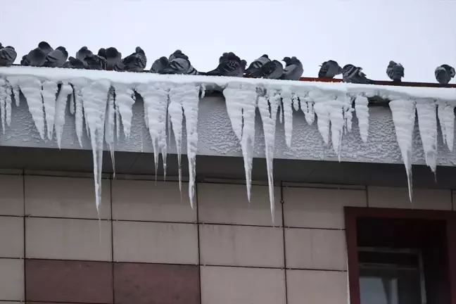 Erzurum'da Çatılardaki Kar ve Buz Tehlikesine Çözüm İsteniyor