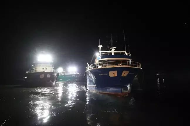 İğneada'da Hamsi Bolluğu: Balıkçılar Denizde Bereket Yaşıyor