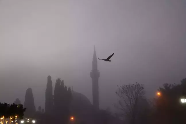 Edirne ve Tekirdağ'da Yoğun Sis Hayatı Olumsuz Etkiliyor