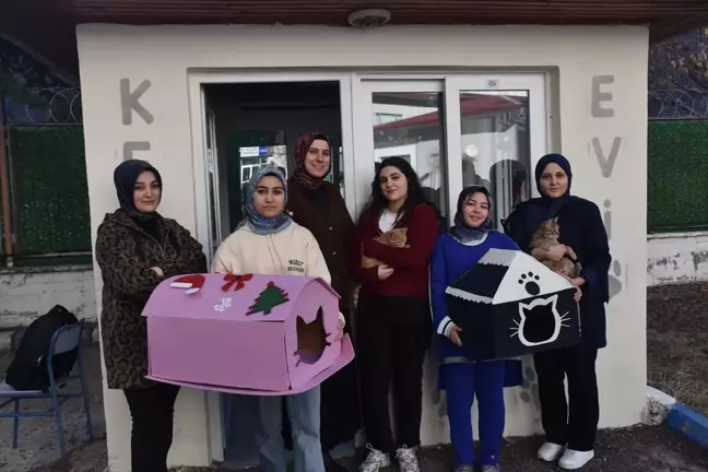 Gümüşhane'de Atıl Güvenlik Kulübesi Kedi Evi Oldu
