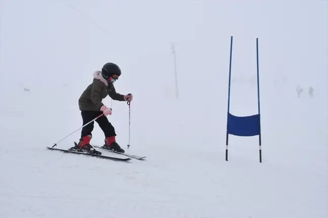 Bitlis'te Alp Disiplini ve Snowboard İl Birinciliği Yarışması Düzenlendi