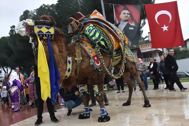 Aydın'da 'En Yakışıklı Deve Yarışması' Yapıldı