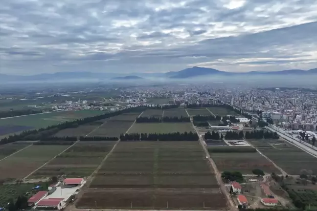 Torbalı Orman Fidanlık Müdürlüğü: Türkiye'nin Yeşil Geleceğine Katkı