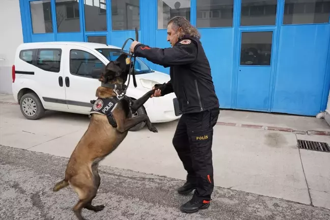 Narkotik Köpeği Milon, Aralık Ayının Köpeği Seçildi