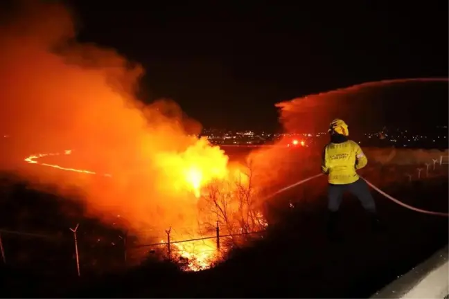 Los Angeles'ta Kontrol Altına Alınamayan Orman Yangını