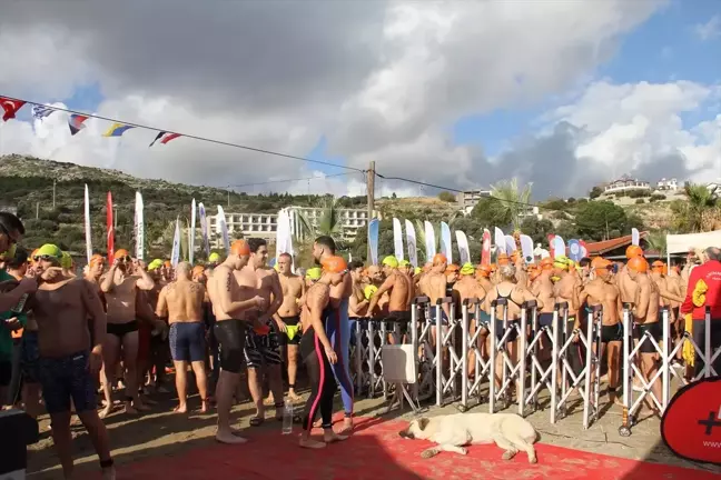 Datça'da 19. Açık Deniz Kış Yüzme Maratonu Gerçekleştirildi