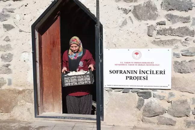 Nevşehir'de Girişimci Kadınlar Kültür Mantarı Üreterek Aile Bütçelerine Katkı Sağlıyor