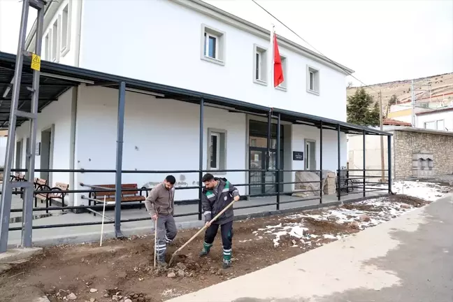 Talas Belediyesi Kırsal Mahallelere 500 Kestane Fidanı Dikti