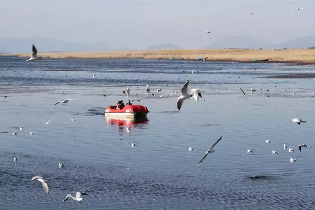 Konya, Göç Eden Kuşların Gözlem Merkezi Olmaya Devam Ediyor