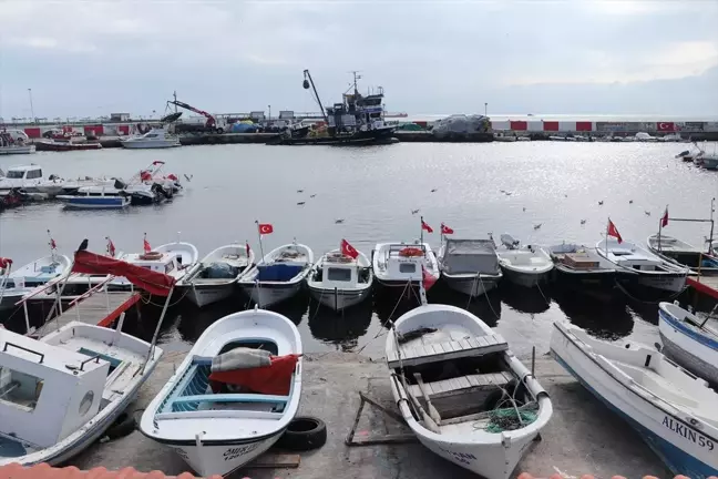 Tekirdağ'da Balıkçılar Poyraz Nedeniyle Avlanamıyor