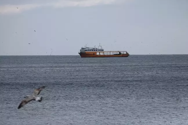 Marmara Denizi'nde Poyraz Deniz Ulaşımını Aksatıyor