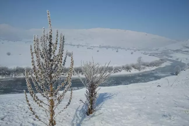 Van ve Hakkari'de Dondurucu Soğuklar Etkili