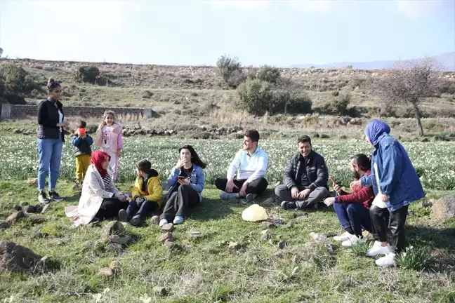 Antakya'da Nergis Tarlası, Fotoğraf Tutkunlarını Ağırlıyor