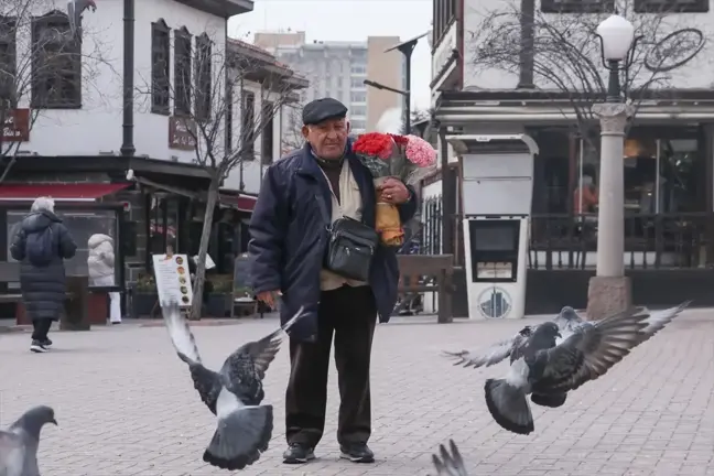 Hamamönü'nde 'Gül Baba' Gönüllü Çiçek Dağıtıyor