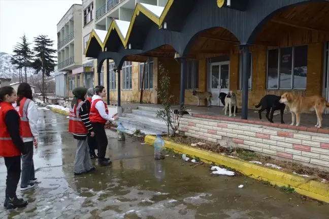 Havza'da Sokak Hayvanlarına Mama Destek