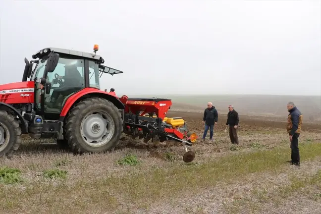 Edirne'de Ayçiçeği Ekim Yöntemleri Üzerine Testler Başladı