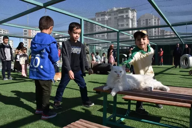 Küçük Dostlar Kedi Kasabası, 9 Yılda 42 Bin Ziyaretçi Ağırladı