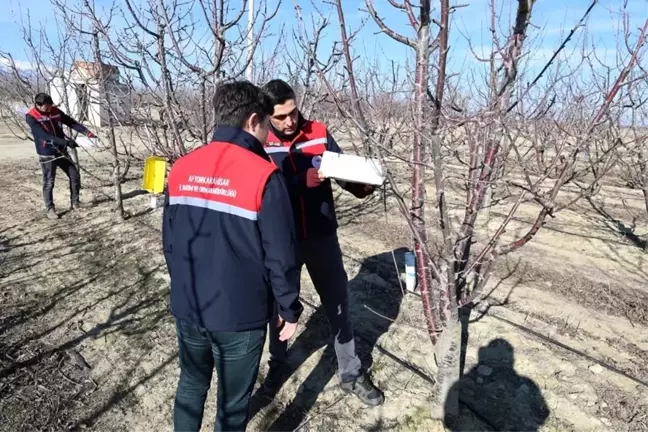 Afyonkarahisar'da Hastalık ve Zararlı Takibi Devam Ediyor