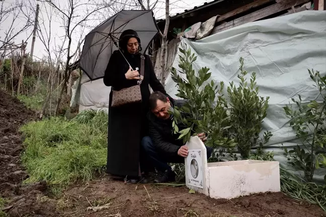 Samsun'da Çift, Tavşanları İçin Mermer Mezar Yaptırdı