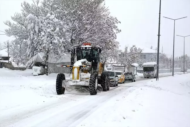 Ağrı ve Erzincan'da Kar Yağışı Hayatı Olumsuz Etkiledi