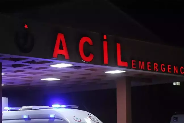 Ordu'da trafik kazası: İki kişi hayatını kaybetti