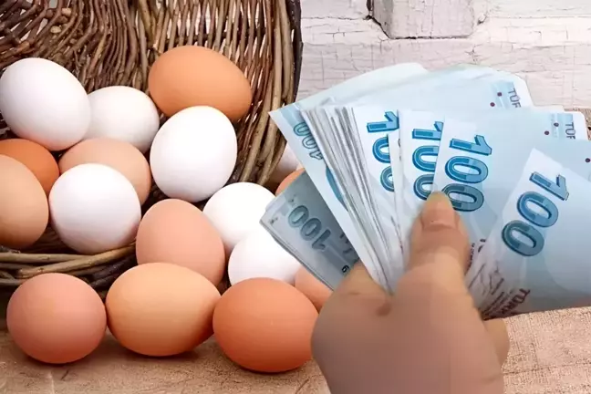 Yumurtada fahiş fiyata ilişkin yeni tedbir yürürlüğe girdi