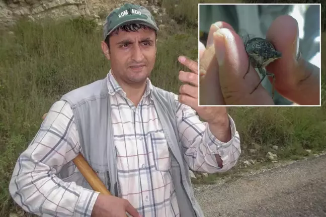 Keşfedilen böcek türüne eşinin ismini verdi, ortalık karıştı
